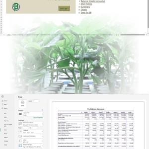 Cannabis Clones/Seeds Nursery Financial Model