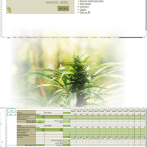 Hemp Cultivation + CBD Oil Extraction and/or Fiber Products Financial Model
