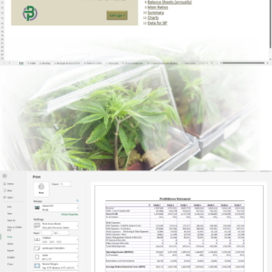 Cannabis Cultivation + Nursery Financial Model