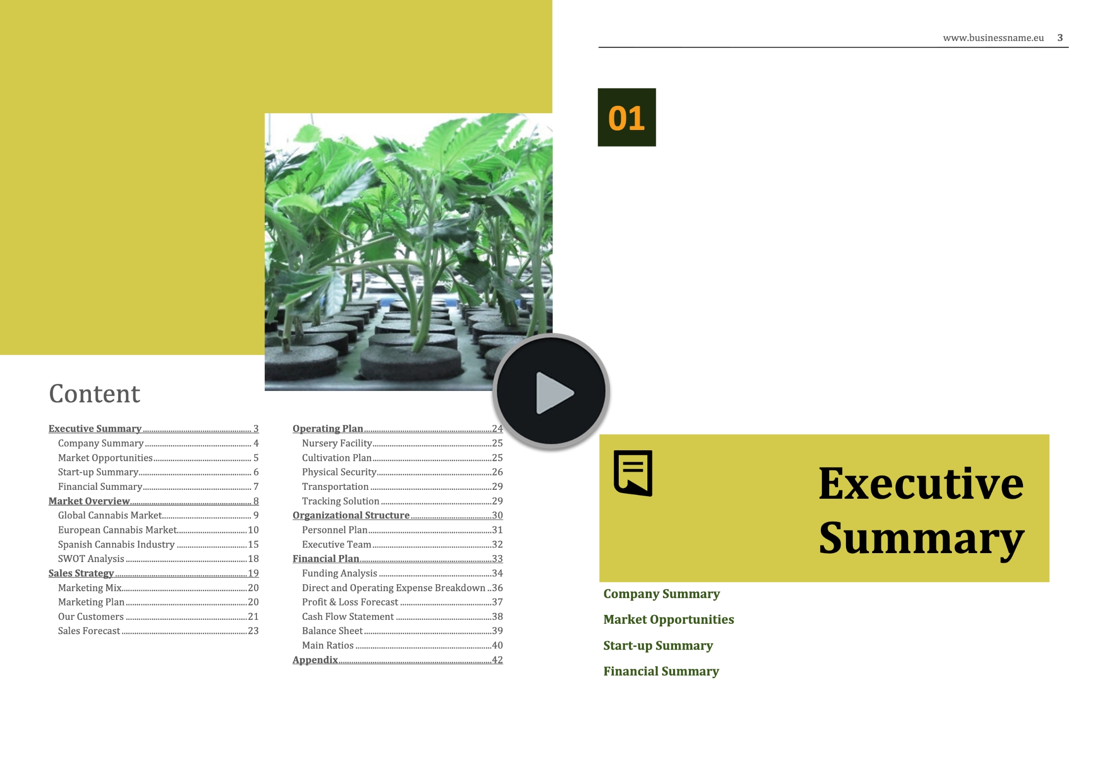 Spanish Cannabis Market